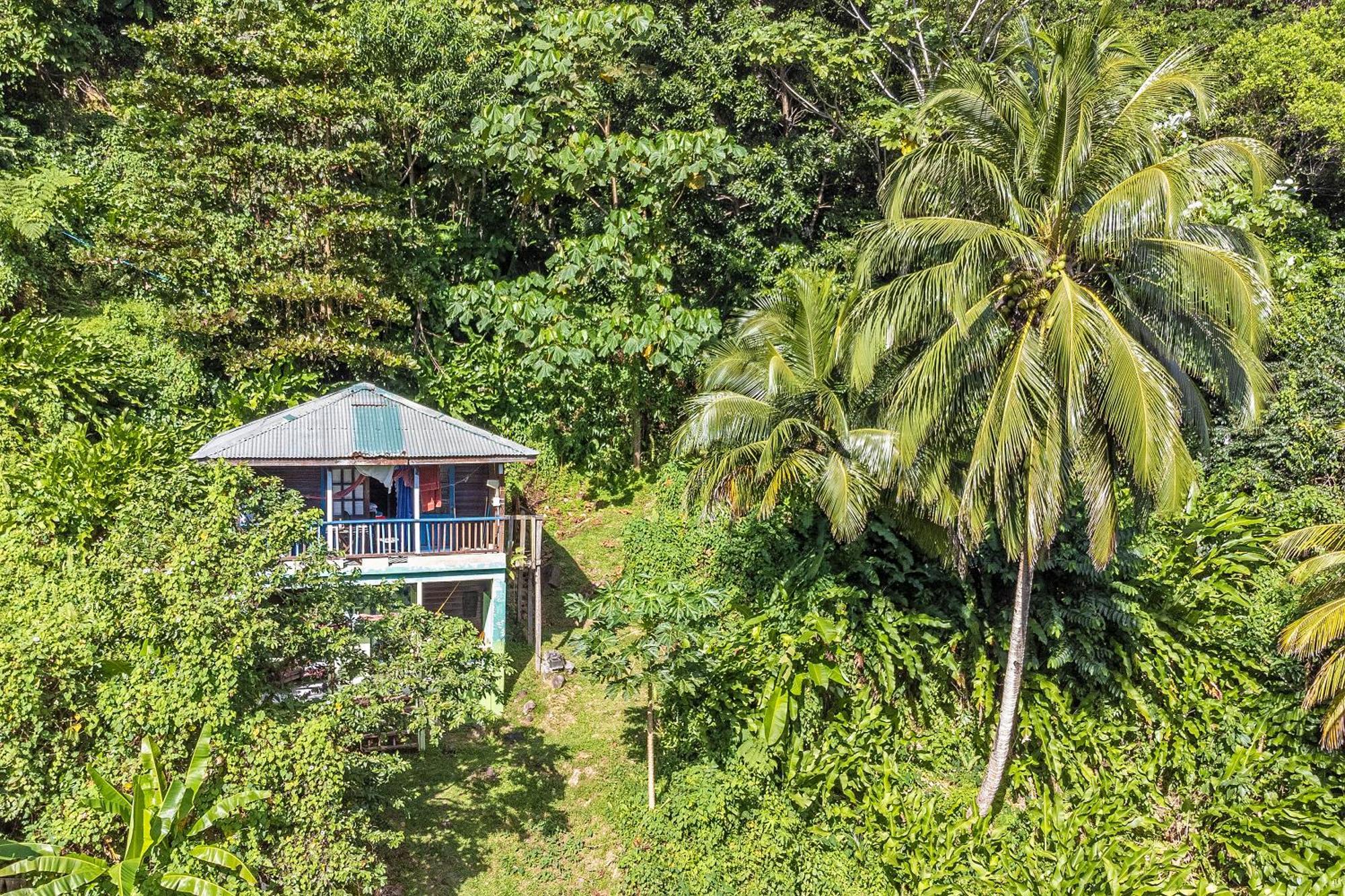 3 Rivers Eco Lodge Rosalie Exterior photo