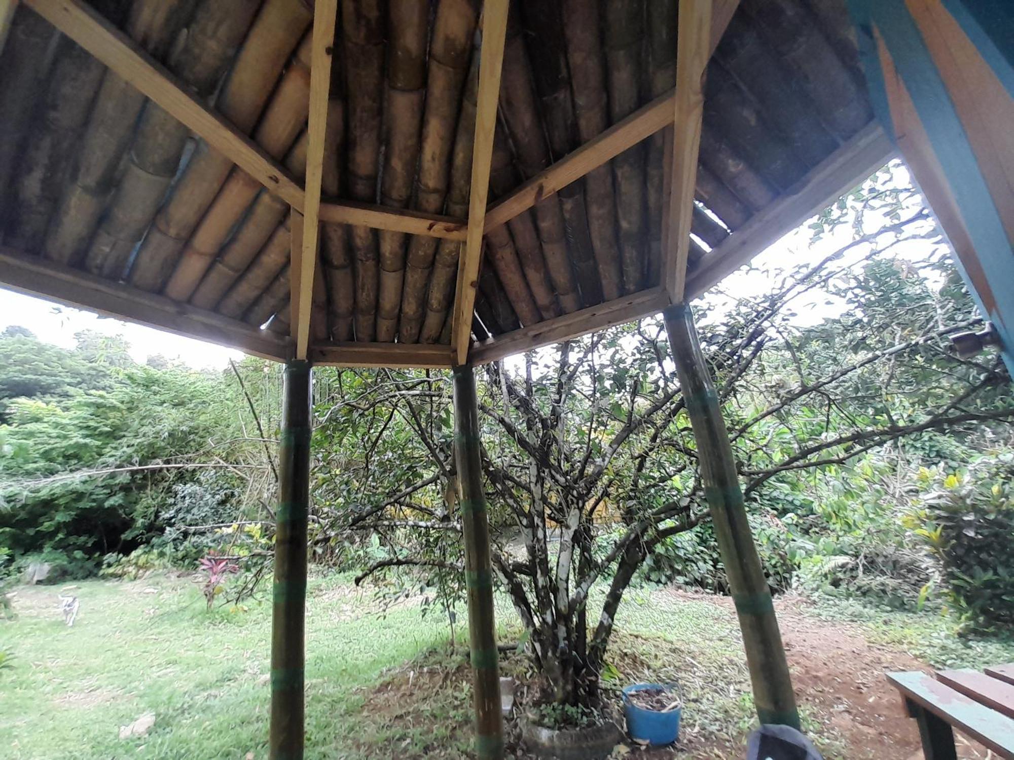 3 Rivers Eco Lodge Rosalie Room photo